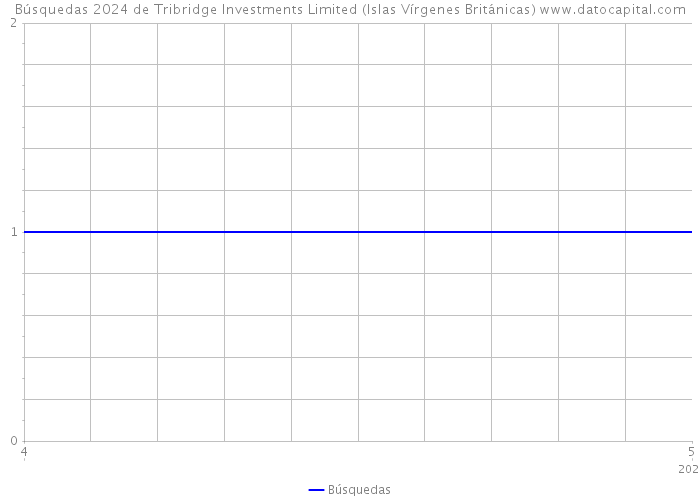 Búsquedas 2024 de Tribridge Investments Limited (Islas Vírgenes Británicas) 