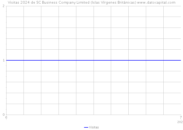 Visitas 2024 de SC Business Company Limited (Islas Vírgenes Británicas) 