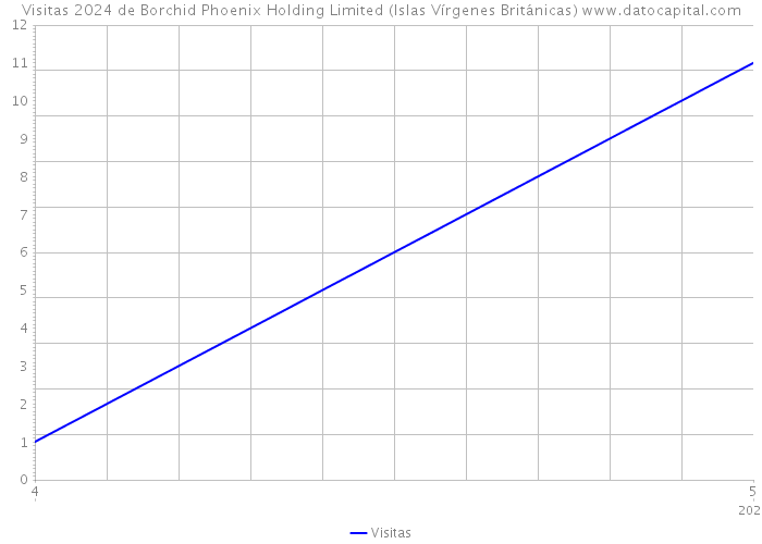 Visitas 2024 de Borchid Phoenix Holding Limited (Islas Vírgenes Británicas) 