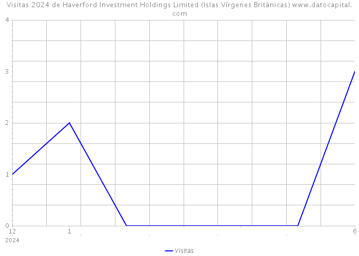 Visitas 2024 de Haverford Investment Holdings Limited (Islas Vírgenes Británicas) 