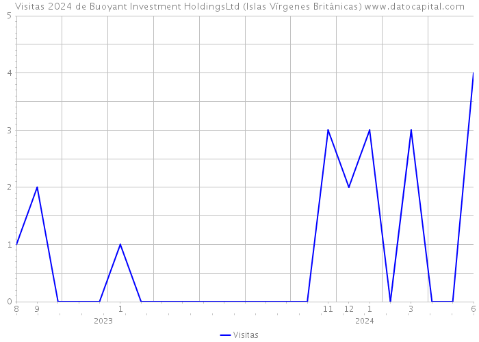 Visitas 2024 de Buoyant Investment HoldingsLtd (Islas Vírgenes Británicas) 