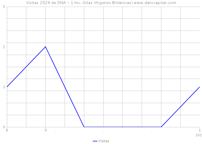 Visitas 2024 de DNA - 1 Inc. (Islas Vírgenes Británicas) 