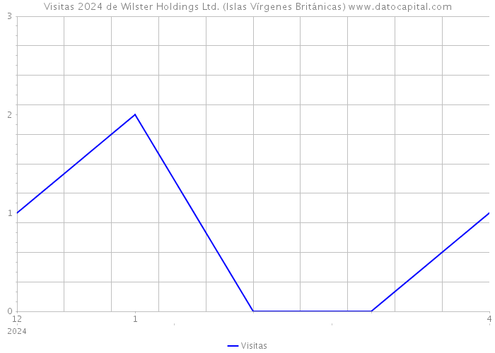 Visitas 2024 de Wilster Holdings Ltd. (Islas Vírgenes Británicas) 