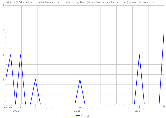 Visitas 2024 de California Investment Holdings, Inc. (Islas Vírgenes Británicas) 