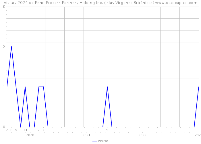 Visitas 2024 de Penn Process Partners Holding Inc. (Islas Vírgenes Británicas) 