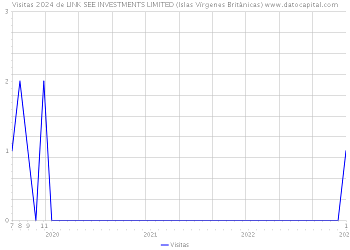 Visitas 2024 de LINK SEE INVESTMENTS LIMITED (Islas Vírgenes Británicas) 