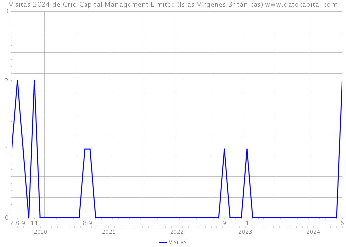Visitas 2024 de Grid Capital Management Limited (Islas Vírgenes Británicas) 