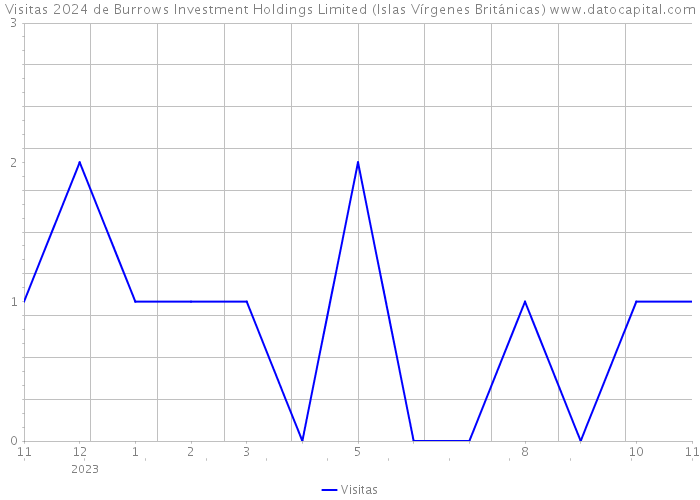 Visitas 2024 de Burrows Investment Holdings Limited (Islas Vírgenes Británicas) 
