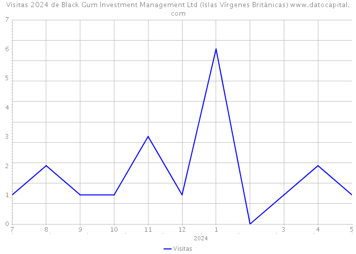 Visitas 2024 de Black Gum Investment Management Ltd (Islas Vírgenes Británicas) 