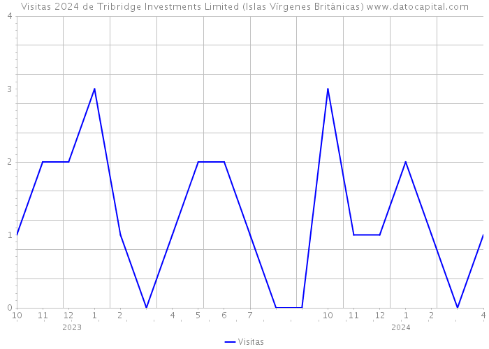 Visitas 2024 de Tribridge Investments Limited (Islas Vírgenes Británicas) 