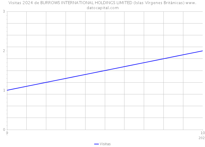 Visitas 2024 de BURROWS INTERNATIONAL HOLDINGS LIMITED (Islas Vírgenes Británicas) 
