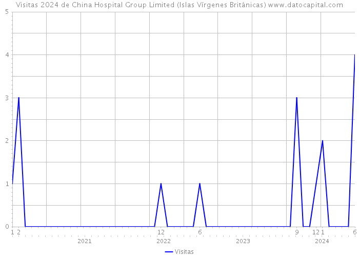 Visitas 2024 de China Hospital Group Limited (Islas Vírgenes Británicas) 