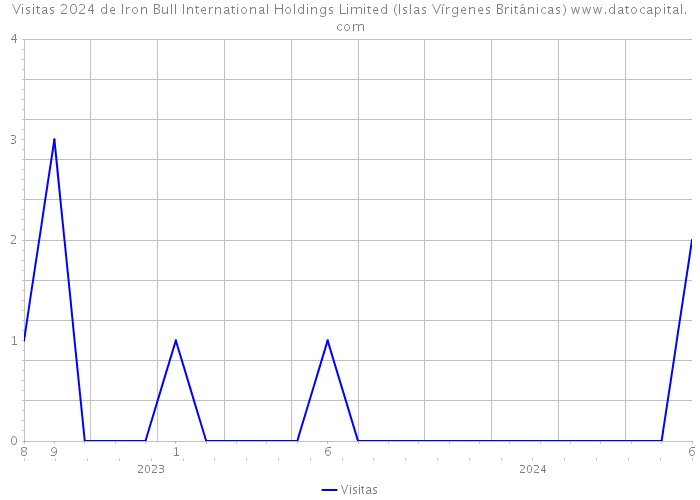 Visitas 2024 de Iron Bull International Holdings Limited (Islas Vírgenes Británicas) 