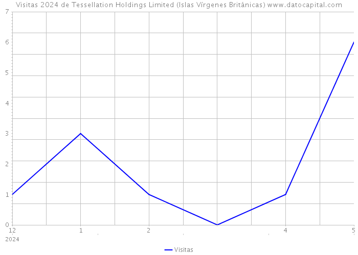 Visitas 2024 de Tessellation Holdings Limited (Islas Vírgenes Británicas) 