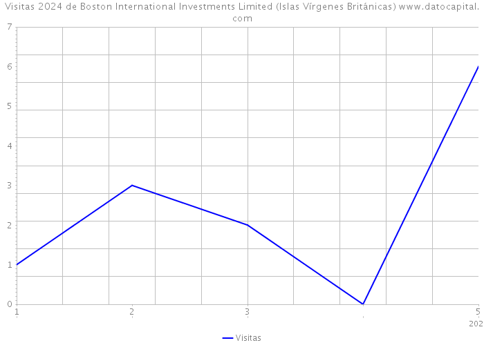 Visitas 2024 de Boston International Investments Limited (Islas Vírgenes Británicas) 