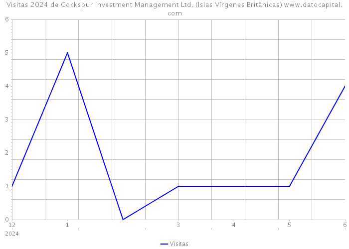 Visitas 2024 de Cockspur Investment Management Ltd. (Islas Vírgenes Británicas) 