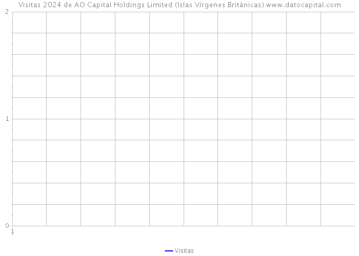 Visitas 2024 de AO Capital Holdings Limited (Islas Vírgenes Británicas) 