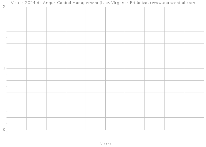Visitas 2024 de Angus Capital Management (Islas Vírgenes Británicas) 