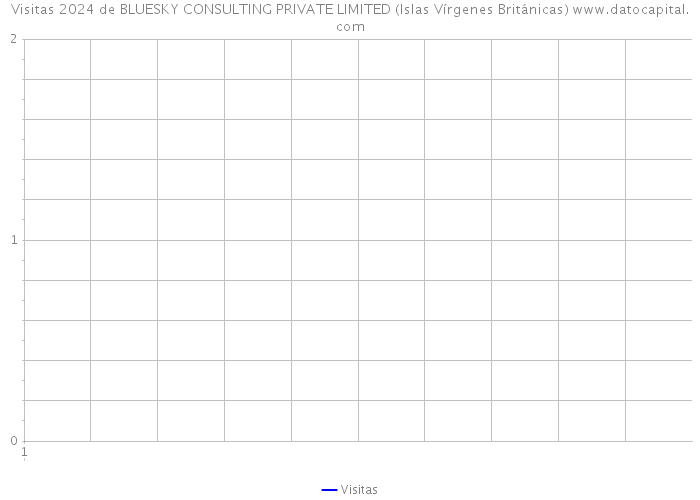 Visitas 2024 de BLUESKY CONSULTING PRIVATE LIMITED (Islas Vírgenes Británicas) 