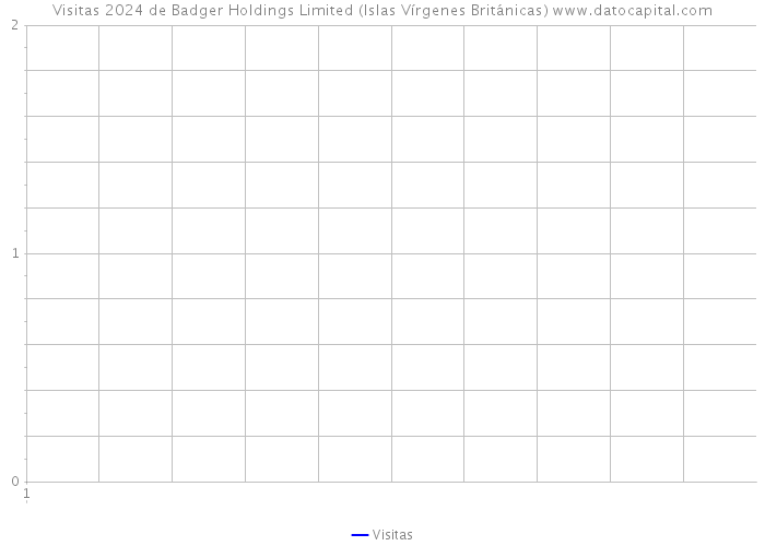 Visitas 2024 de Badger Holdings Limited (Islas Vírgenes Británicas) 