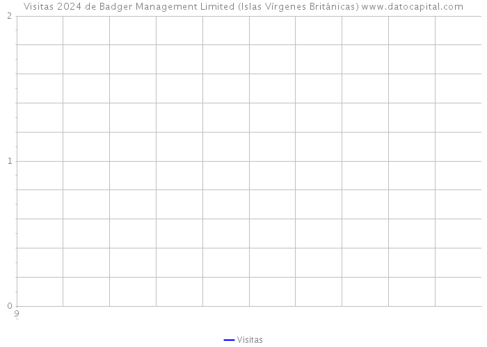 Visitas 2024 de Badger Management Limited (Islas Vírgenes Británicas) 