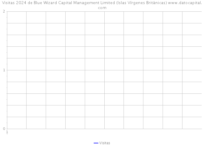 Visitas 2024 de Blue Wizard Capital Management Limited (Islas Vírgenes Británicas) 