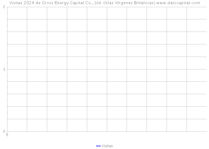 Visitas 2024 de Gross Energy Capital Co., Ltd. (Islas Vírgenes Británicas) 