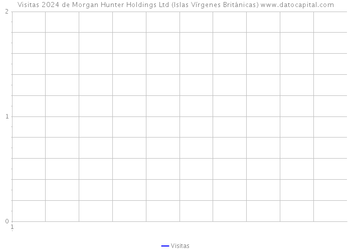 Visitas 2024 de Morgan Hunter Holdings Ltd (Islas Vírgenes Británicas) 
