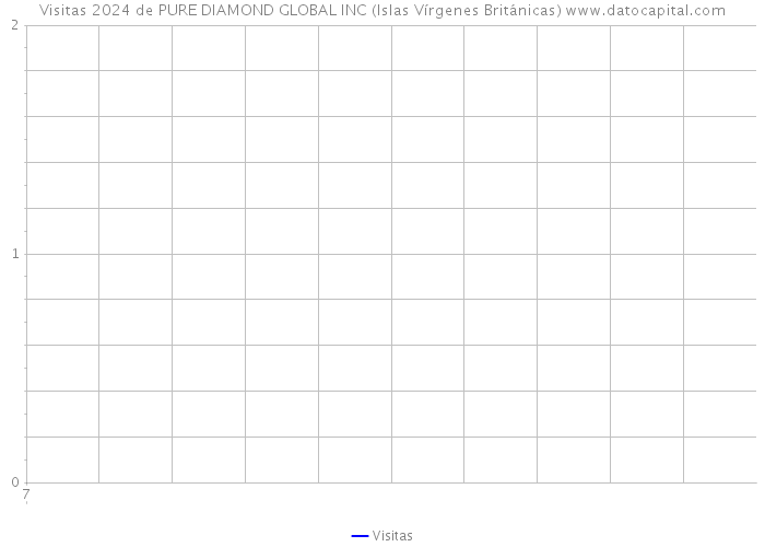 Visitas 2024 de PURE DIAMOND GLOBAL INC (Islas Vírgenes Británicas) 
