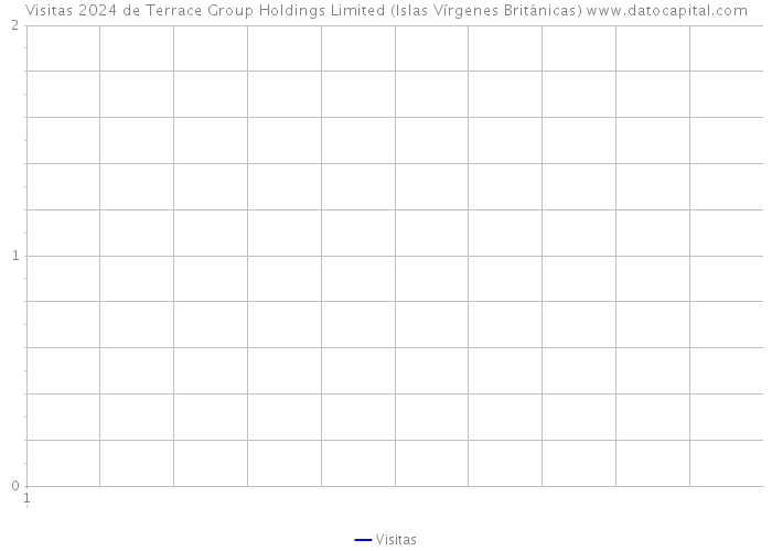 Visitas 2024 de Terrace Group Holdings Limited (Islas Vírgenes Británicas) 