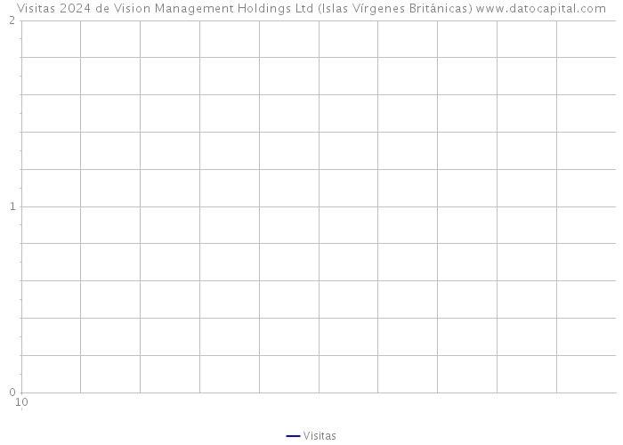 Visitas 2024 de Vision Management Holdings Ltd (Islas Vírgenes Británicas) 