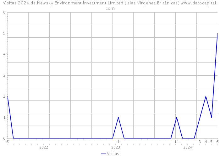 Visitas 2024 de Newsky Environment Investment Limited (Islas Vírgenes Británicas) 