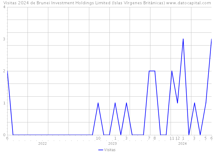 Visitas 2024 de Brunei Investment Holdings Limited (Islas Vírgenes Británicas) 