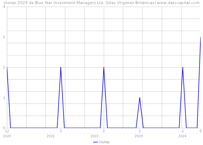 Visitas 2024 de Blue Star Investment Managers Ltd. (Islas Vírgenes Británicas) 