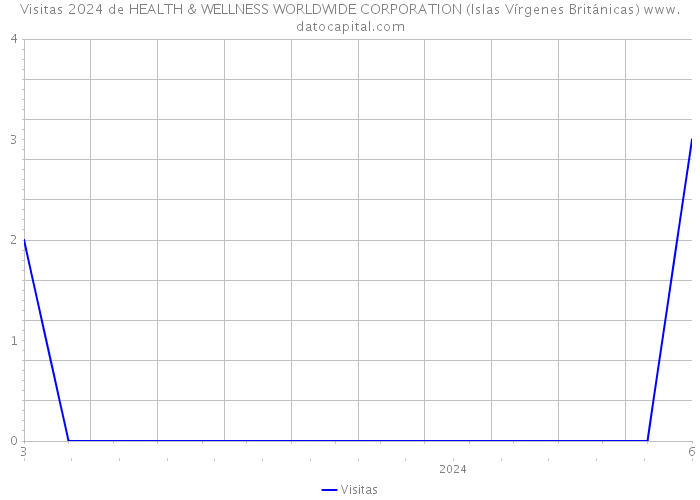 Visitas 2024 de HEALTH & WELLNESS WORLDWIDE CORPORATION (Islas Vírgenes Británicas) 