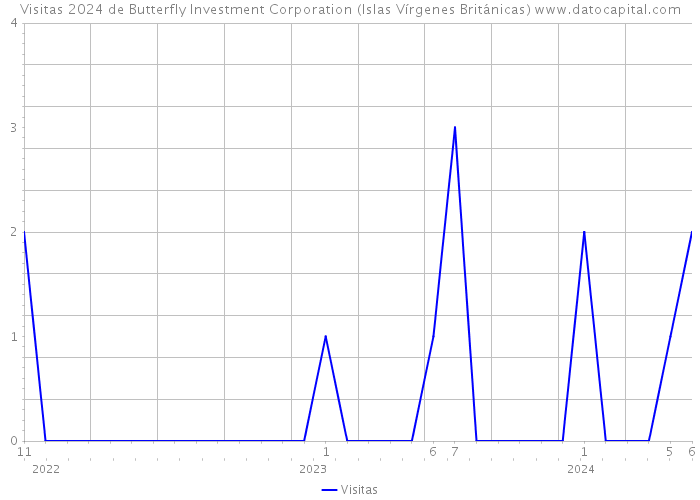 Visitas 2024 de Butterfly Investment Corporation (Islas Vírgenes Británicas) 