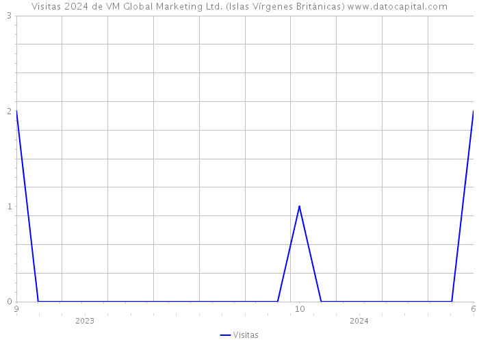 Visitas 2024 de VM Global Marketing Ltd. (Islas Vírgenes Británicas) 
