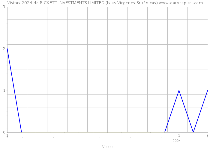 Visitas 2024 de RICKETT INVESTMENTS LIMITED (Islas Vírgenes Británicas) 