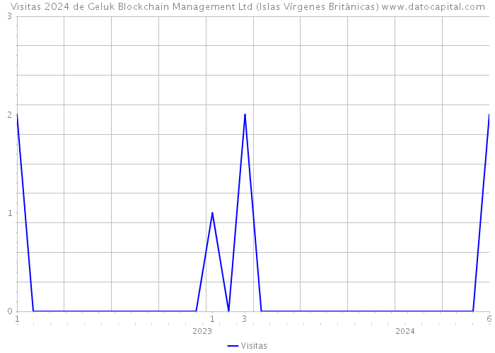 Visitas 2024 de Geluk Blockchain Management Ltd (Islas Vírgenes Británicas) 