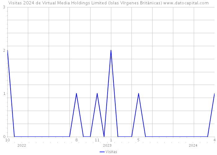 Visitas 2024 de Virtual Media Holdings Limited (Islas Vírgenes Británicas) 