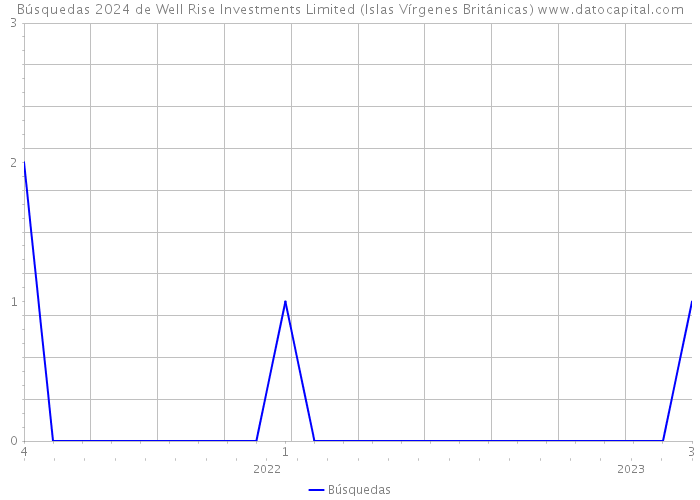 Búsquedas 2024 de Well Rise Investments Limited (Islas Vírgenes Británicas) 