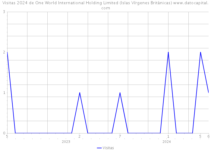 Visitas 2024 de One World International Holding Limited (Islas Vírgenes Británicas) 