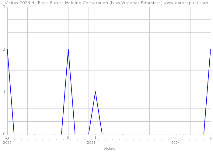 Visitas 2024 de Block Future Holding Corporation (Islas Vírgenes Británicas) 