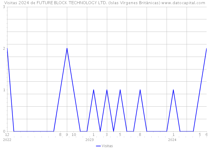 Visitas 2024 de FUTURE BLOCK TECHNOLOGY LTD. (Islas Vírgenes Británicas) 