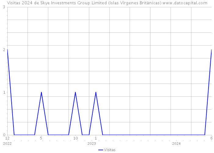 Visitas 2024 de Skye Investments Group Limited (Islas Vírgenes Británicas) 