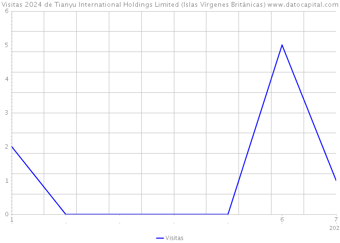 Visitas 2024 de Tianyu International Holdings Limited (Islas Vírgenes Británicas) 