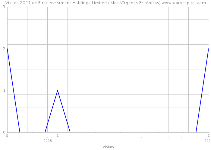 Visitas 2024 de First Investment Holdings Limited (Islas Vírgenes Británicas) 