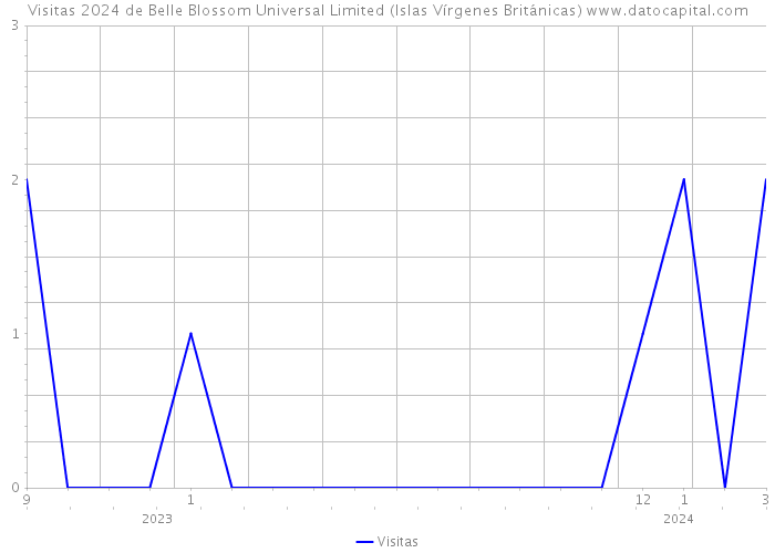 Visitas 2024 de Belle Blossom Universal Limited (Islas Vírgenes Británicas) 