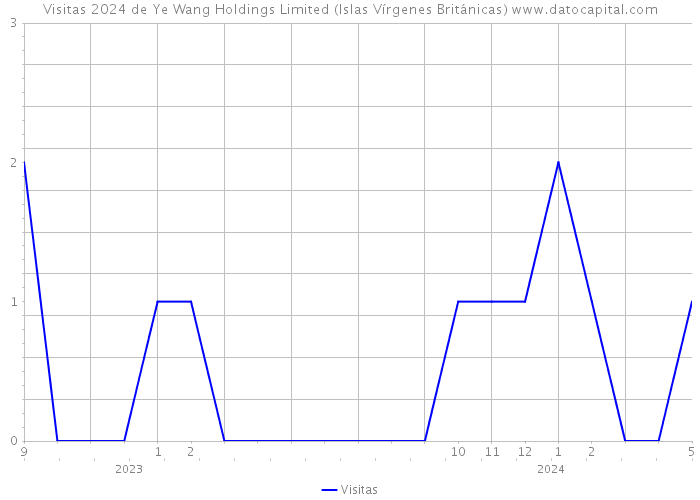 Visitas 2024 de Ye Wang Holdings Limited (Islas Vírgenes Británicas) 