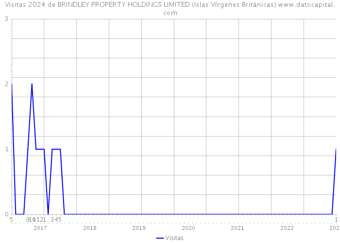 Visitas 2024 de BRINDLEY PROPERTY HOLDINGS LIMITED (Islas Vírgenes Británicas) 